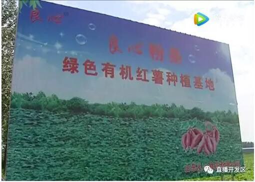 90后大學(xué)生返鄉(xiāng)創(chuàng)業(yè)當(dāng)上“地瓜粉條王”